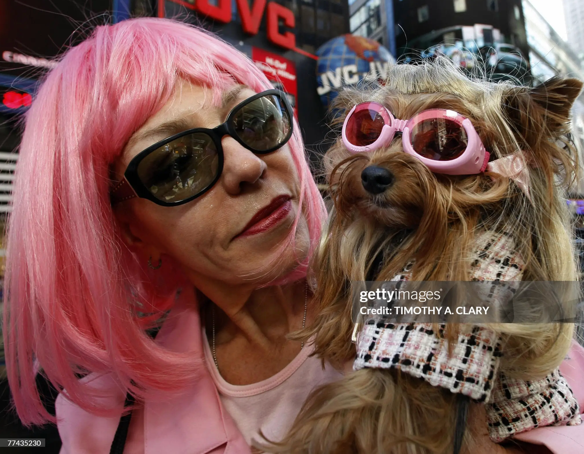 The Charity + Ticket Hustle