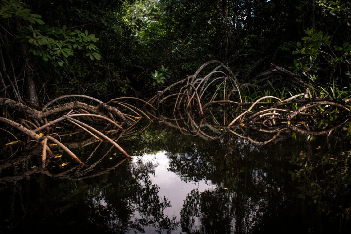 danger: a potentially really corny river